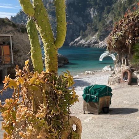 Capri Magic House On The Beach Екстериор снимка