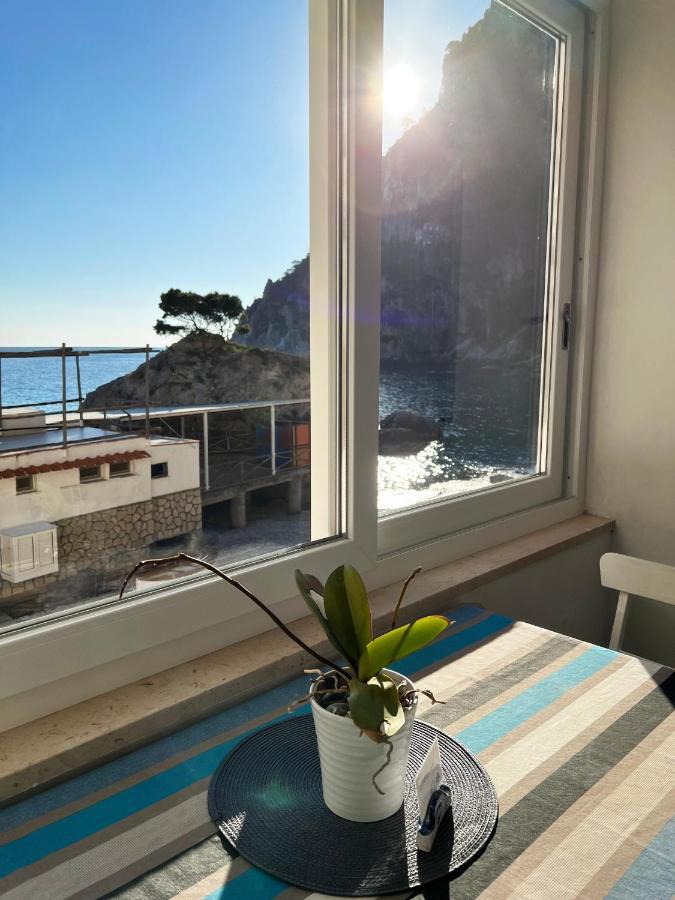 Capri Magic House On The Beach Екстериор снимка